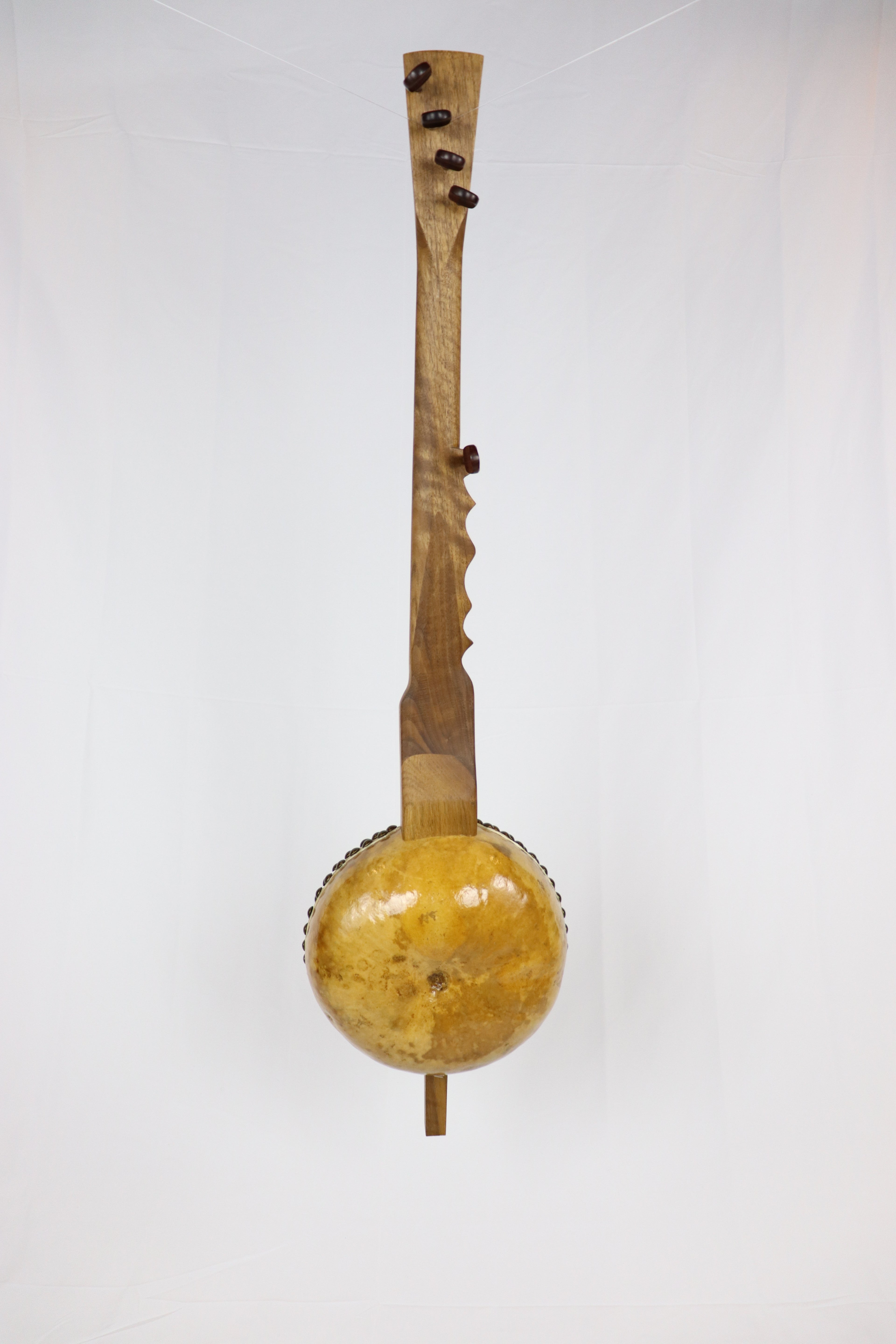 Curly Walnut Gourd Banjo #002